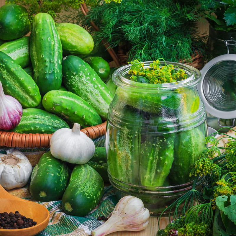 castraveti_murati_in_otet_800